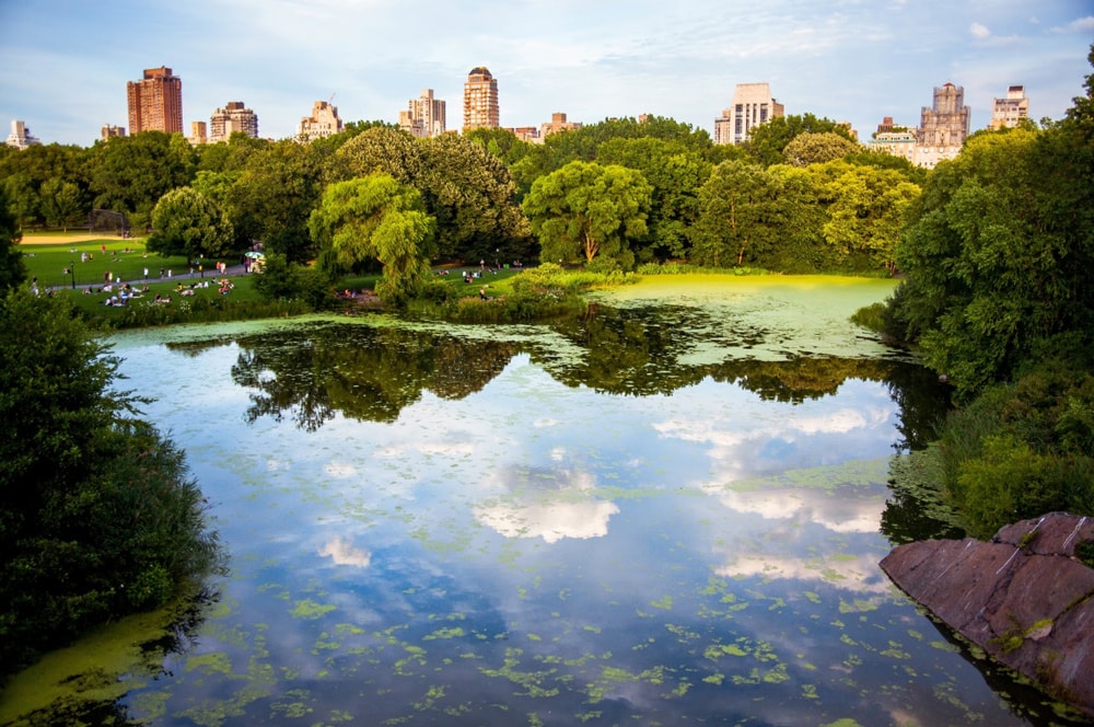 Parks where you can dine outside